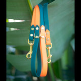 Green Orange Beta Biothane dog Leash in Brass